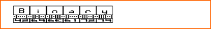 Binary
