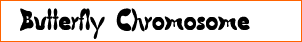 Butterfly Chromosome