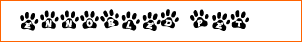 Ennobled Pet