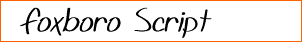 Foxboro Script