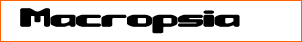 Macropsia