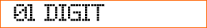 01 Digit