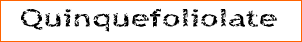 Quinquefoliolate