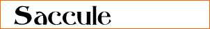 Saccule