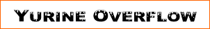 Yurine Overflow