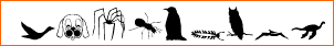 Animals 2