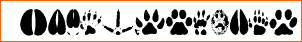 AnimalTracks