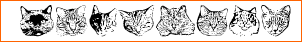 KittyPrint
