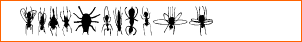Win Bugs